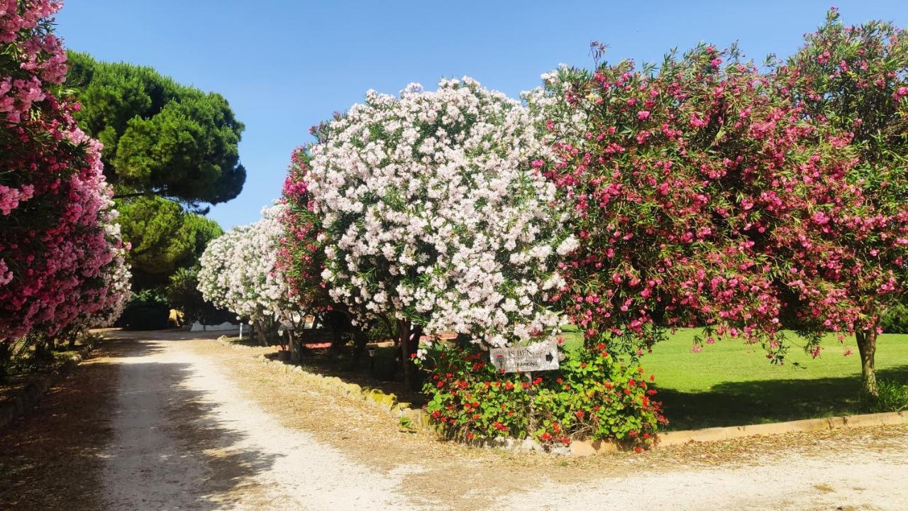 Is Benas Country Lodge San Vero Milis Esterno foto