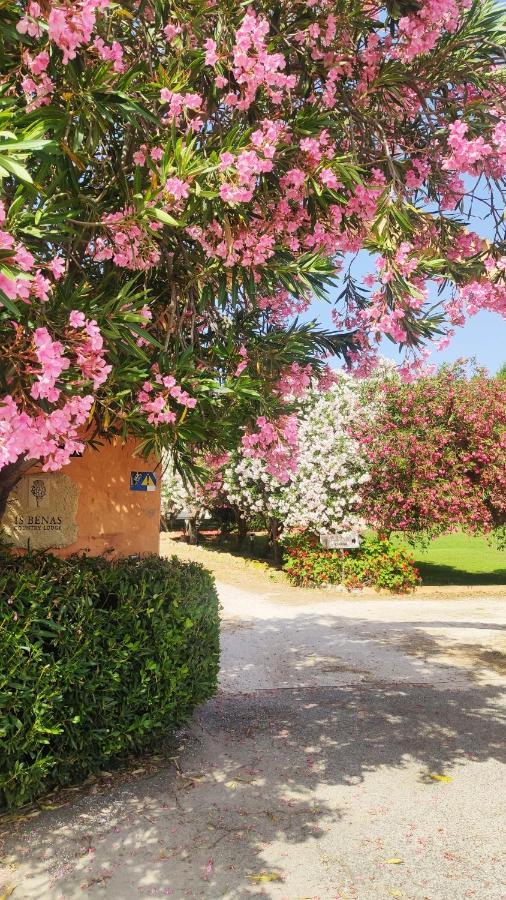 Is Benas Country Lodge San Vero Milis Esterno foto