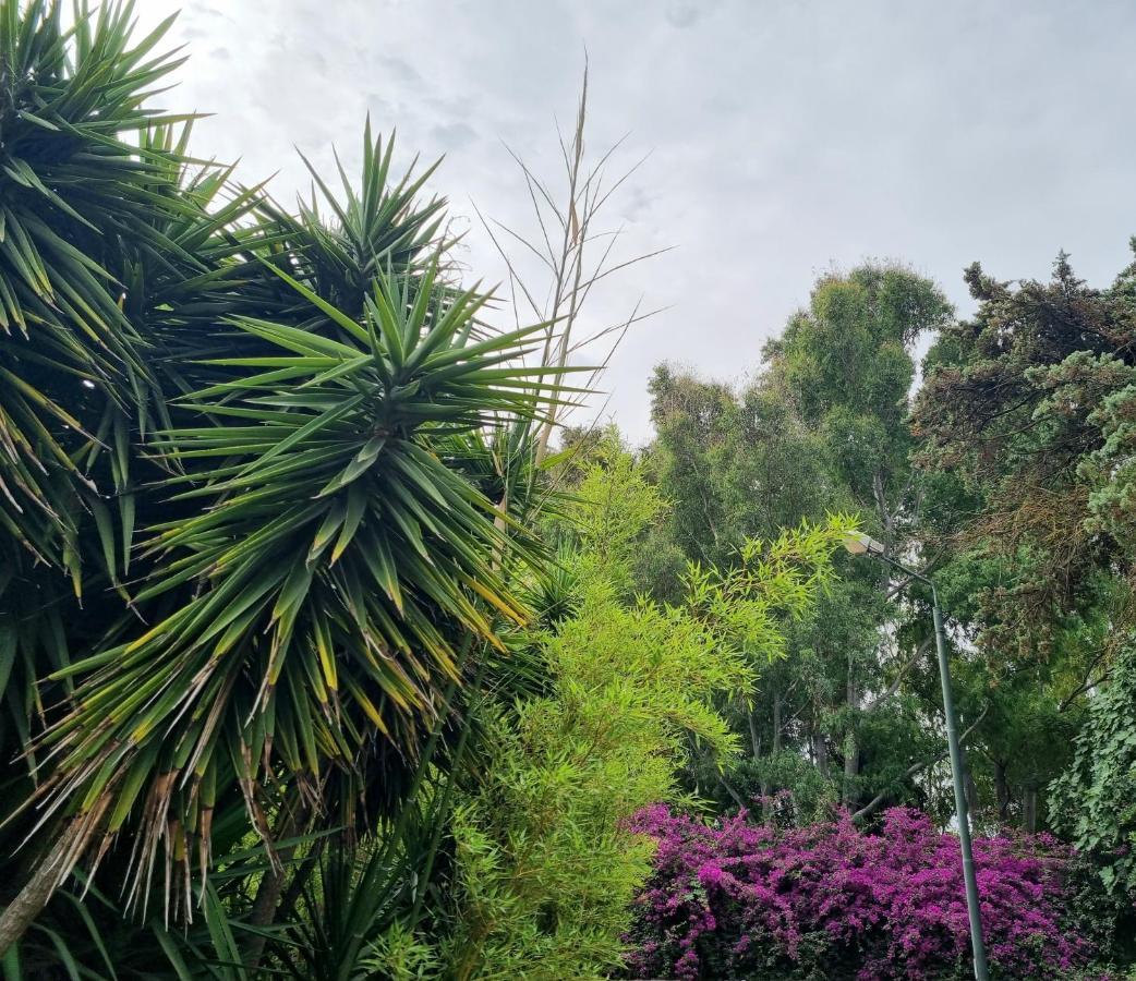 Is Benas Country Lodge San Vero Milis Esterno foto