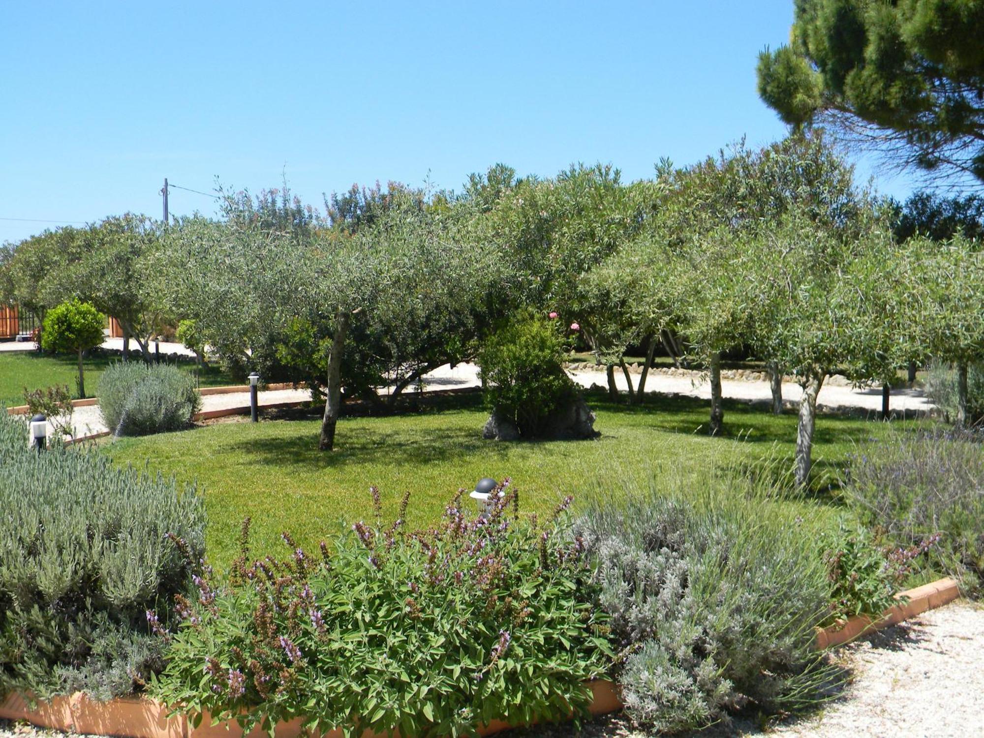 Is Benas Country Lodge San Vero Milis Esterno foto